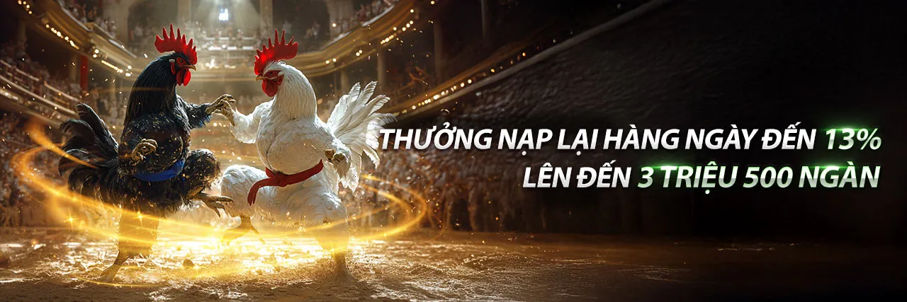 Hình ảnh chính về các chương trình khuyến mãi độc quyền tại win555 nhà cái
