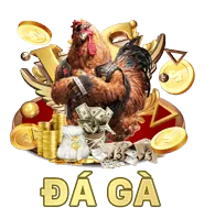 Đội ngũ chuyên gia win555 nhà cái