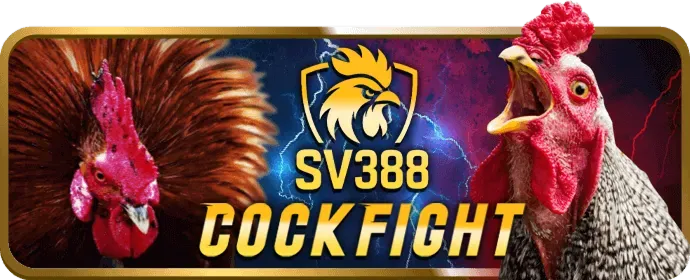 Kho trò chơi đa dạng win555 nhà cái